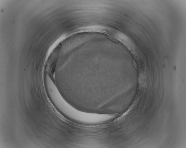 X0000087631180200705241207