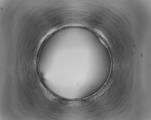 X0000087631181200705241207