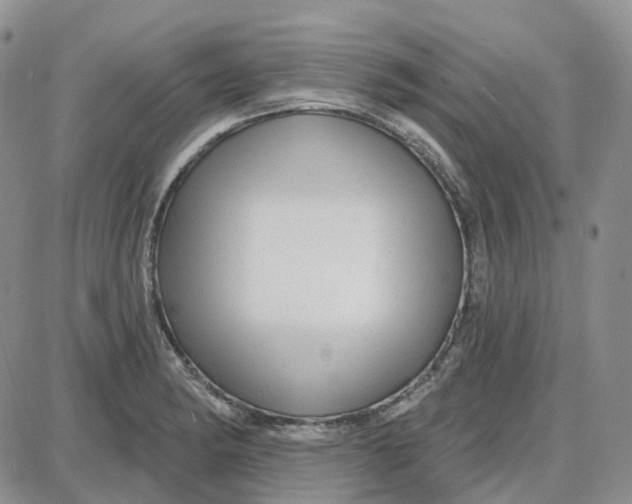 X0000087631182200705241207