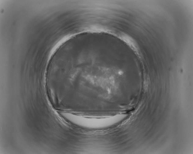 X0000087631183200705241207