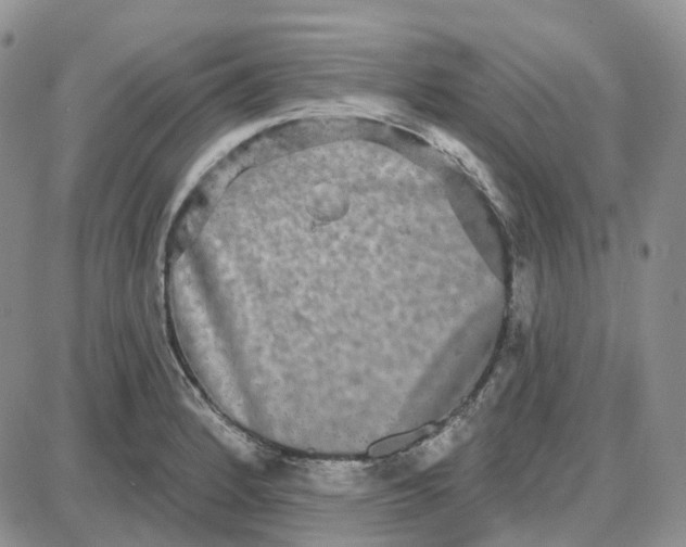 X0000087631184200705241207