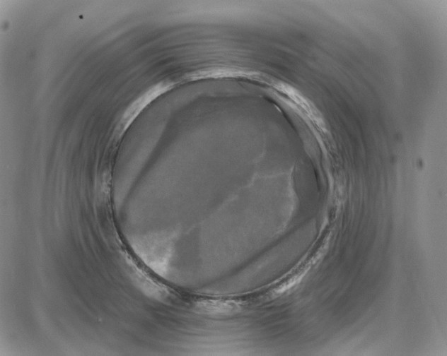 X0000087631185200705241207