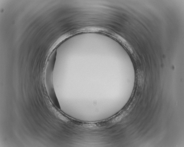 X0000087631186200705241207