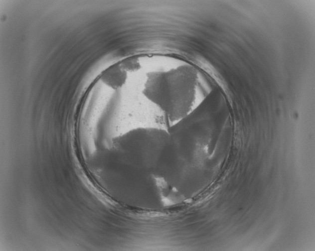 X0000087631187200705241207