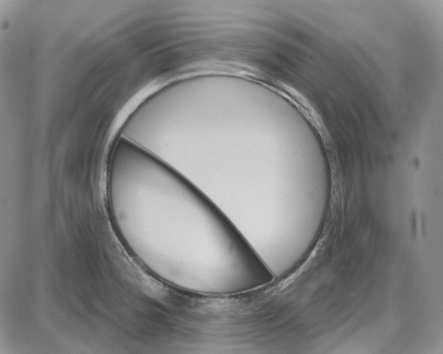 X0000087631188200705241207