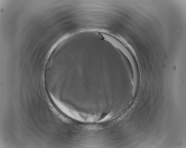 X0000087631189200705241207