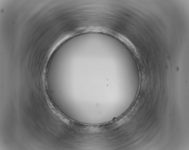 X0000087631190200705241207