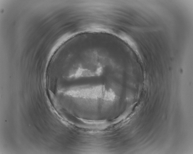 X0000087631191200705241207