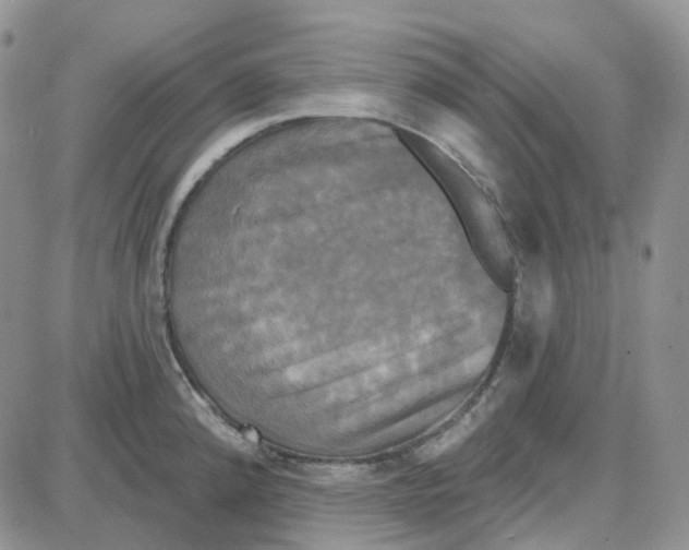 X0000087631192200705241207