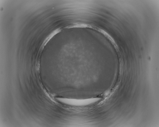 X0000087631193200705241207