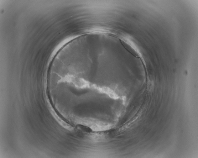 X0000087631195200705241207