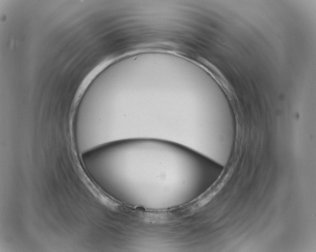 X0000087631196200705241207