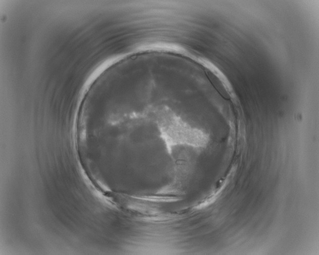 X0000087631199200705241207