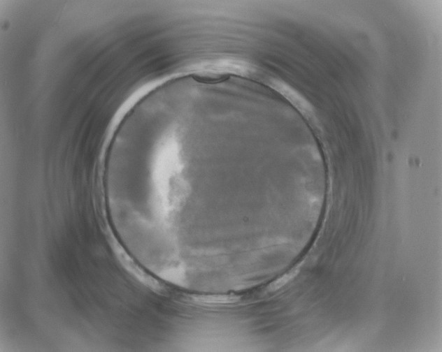 X0000087631200200705241207