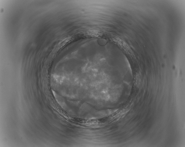 X0000087631201200705241206