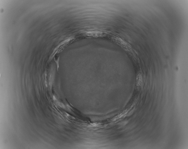 X0000087631202200705241206