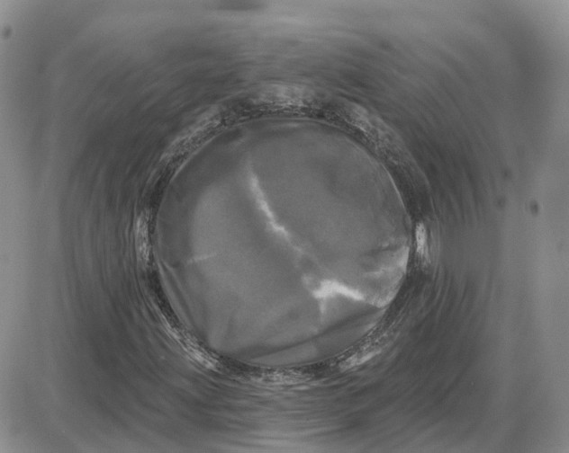 X0000087631203200705241206