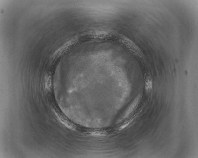 X0000087631204200705241206