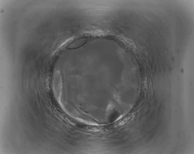 X0000087631205200705241206