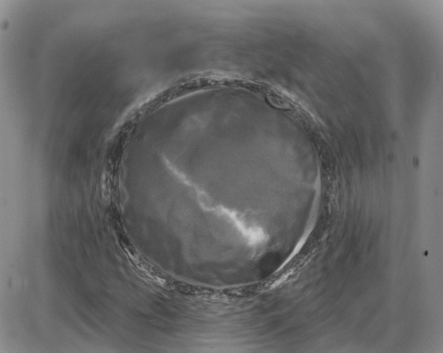 X0000087631207200705241206