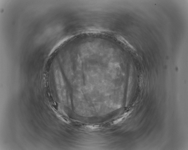 X0000087631208200705241206