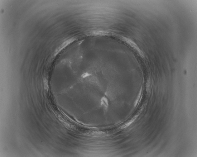 X0000087631209200705241206