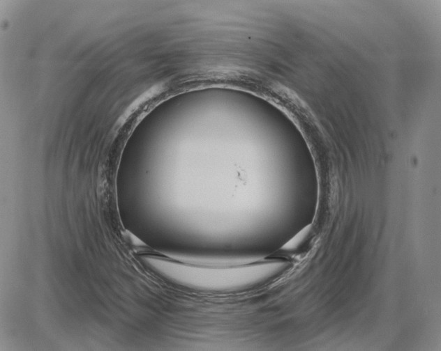 X0000087631210200705241206