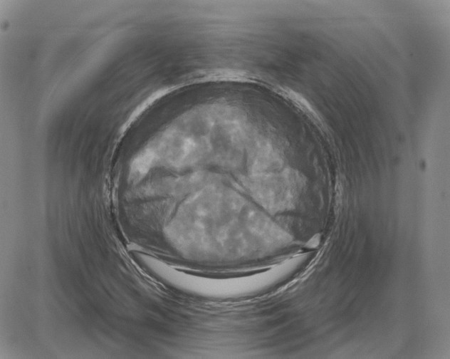 X0000087631212200705241206