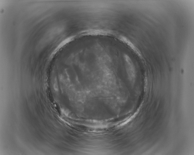 X0000087631213200705241206