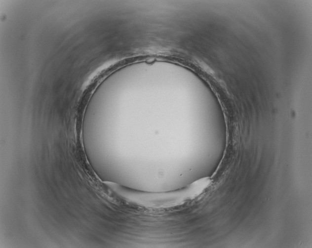 X0000087631214200705241206