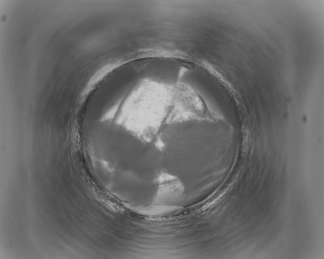 X0000087631215200705241206