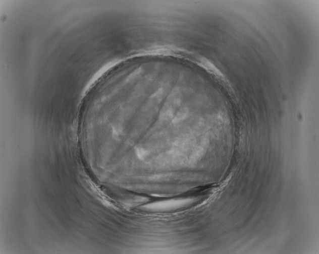 X0000087631216200705241206