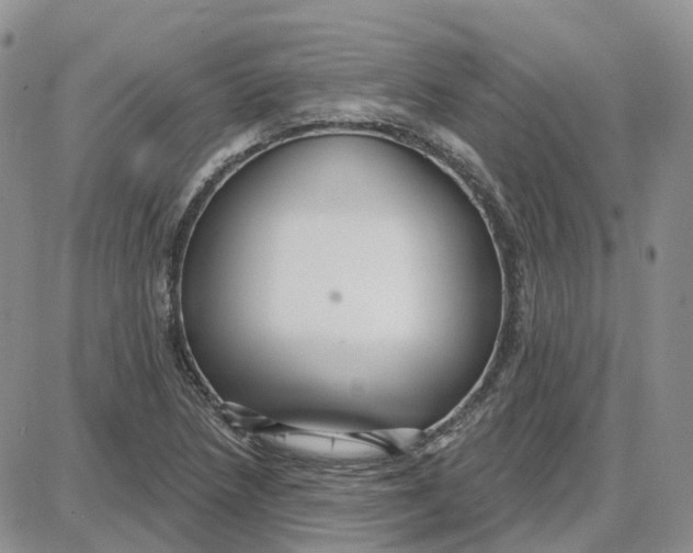 X0000087631218200705241206