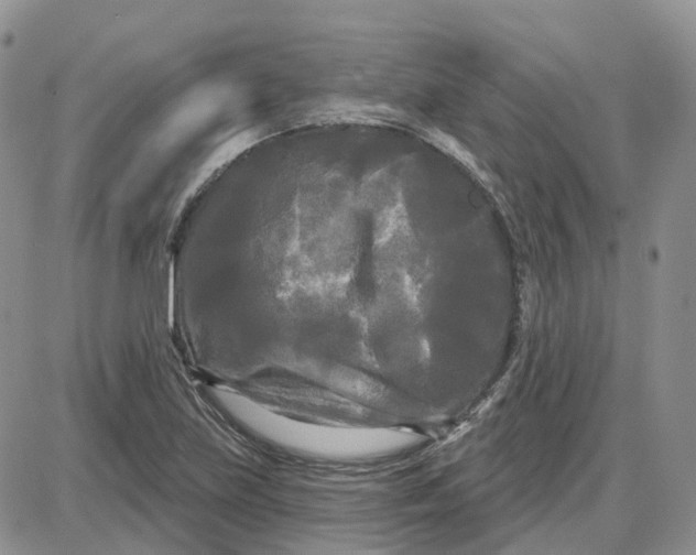 X0000087631219200705241206