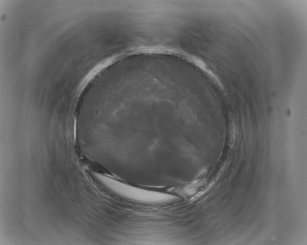 X0000087631221200705241206