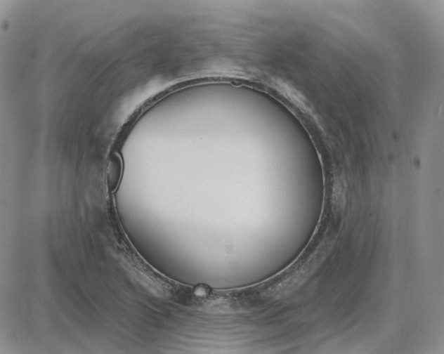 X0000087631222200705241206