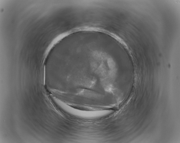 X0000087631223200705241206