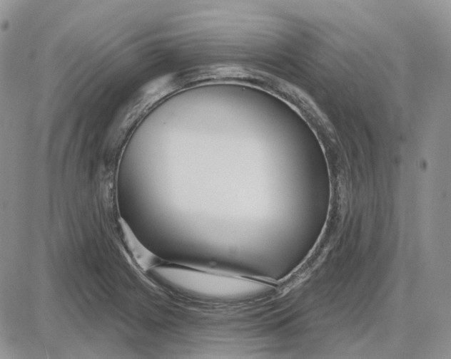 X0000087631225200705241207