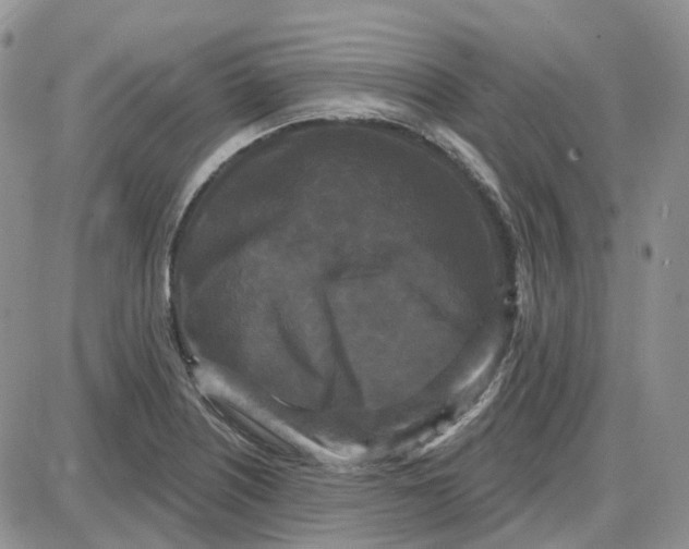 X0000087631226200705241207