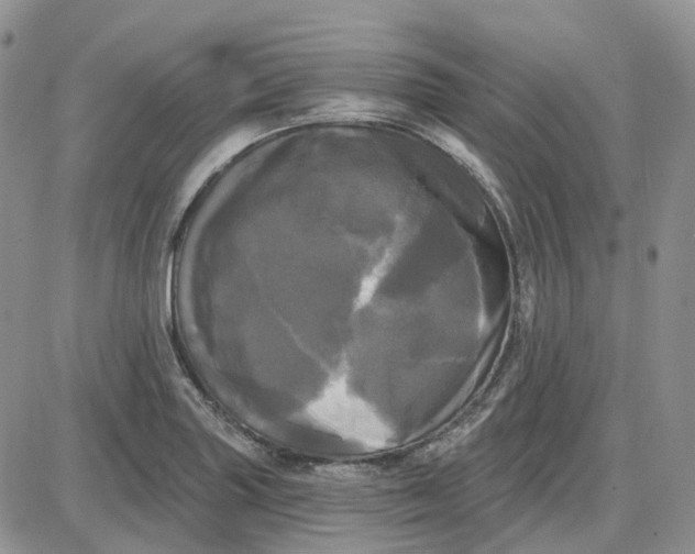 X0000087631227200705241207