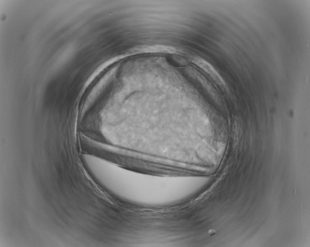 X0000087631228200705241207