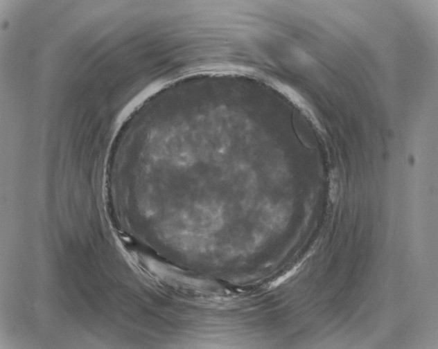 X0000087631229200705241207