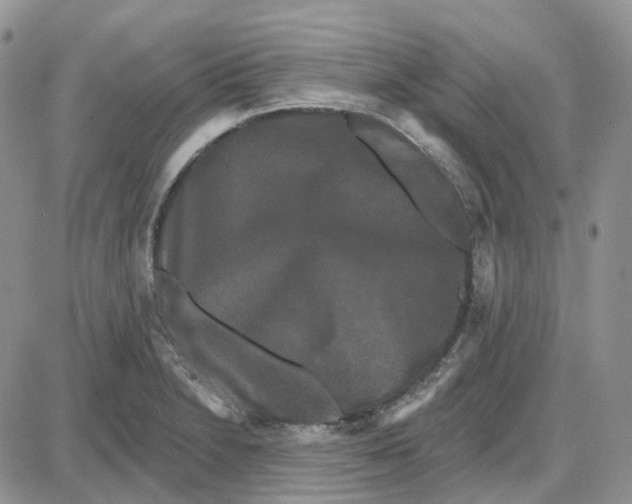 X0000087631230200705241207