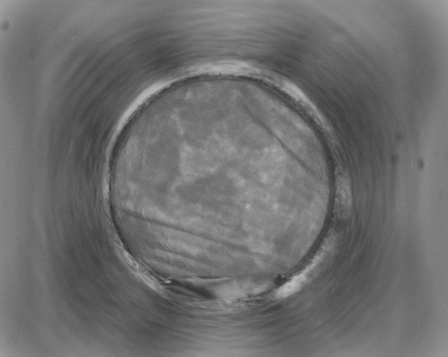 X0000087631232200705241207