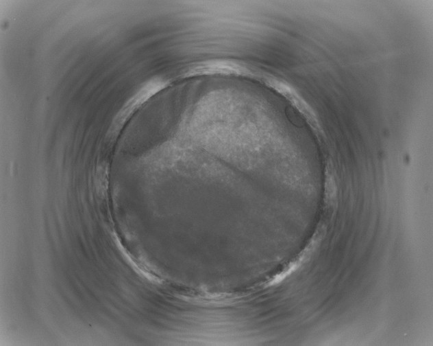 X0000087631233200705241207