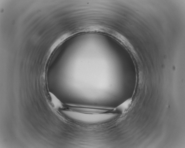 X0000087631234200705241207