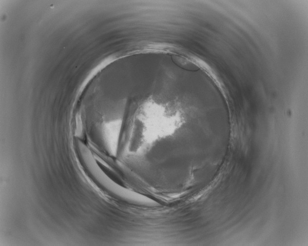 X0000087631235200705241207