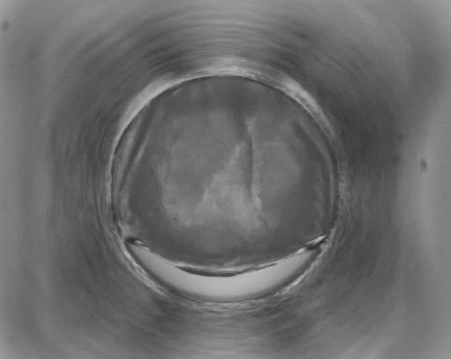 X0000087631236200705241207