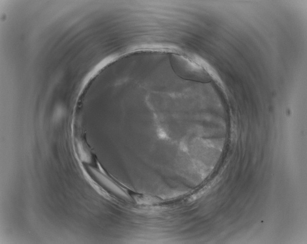 X0000087631237200705241207