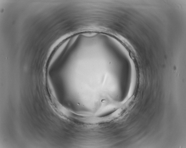 X0000087631238200705241207